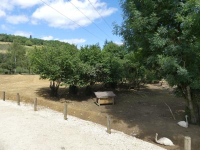 Alpaga - Mara - Nandou