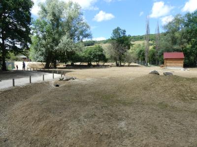 Alpaga - Mara - Nandou