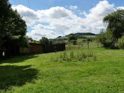 Grue à cou blanc - Cerf axis - Hydropote
