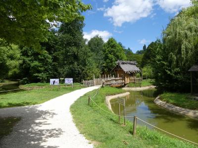 Maki catta - Lémur à ventre roux