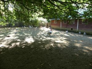 Petite ferme