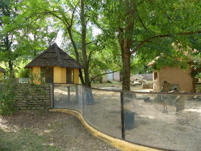 Suricate - Tortue sillonnée