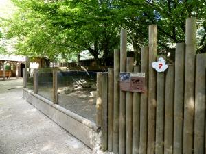 Chien de prairie