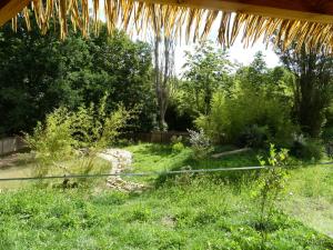 Loutre naine d'Asie