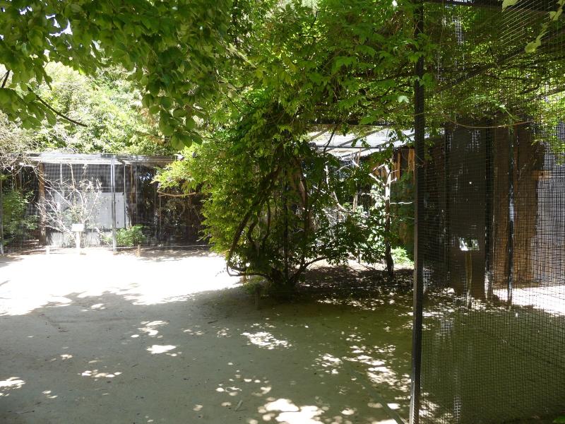 Cité des perroquets