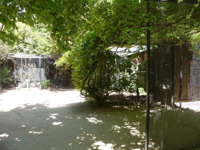 Cité des perroquets