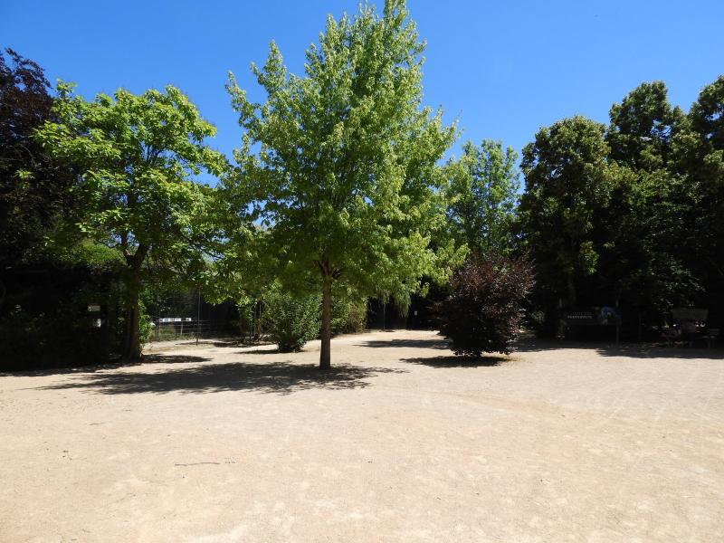 Cité des perroquets