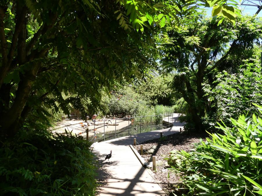 Pantanal