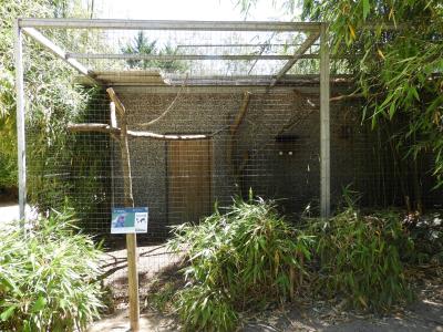 Cacatoés noir - 2020