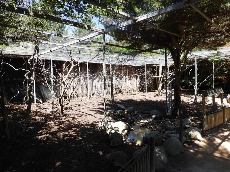 Perroquet à cou brun - Francolin à cou jaune - Inséparable de Fischer - Calao à bec noir - Vanneau armé