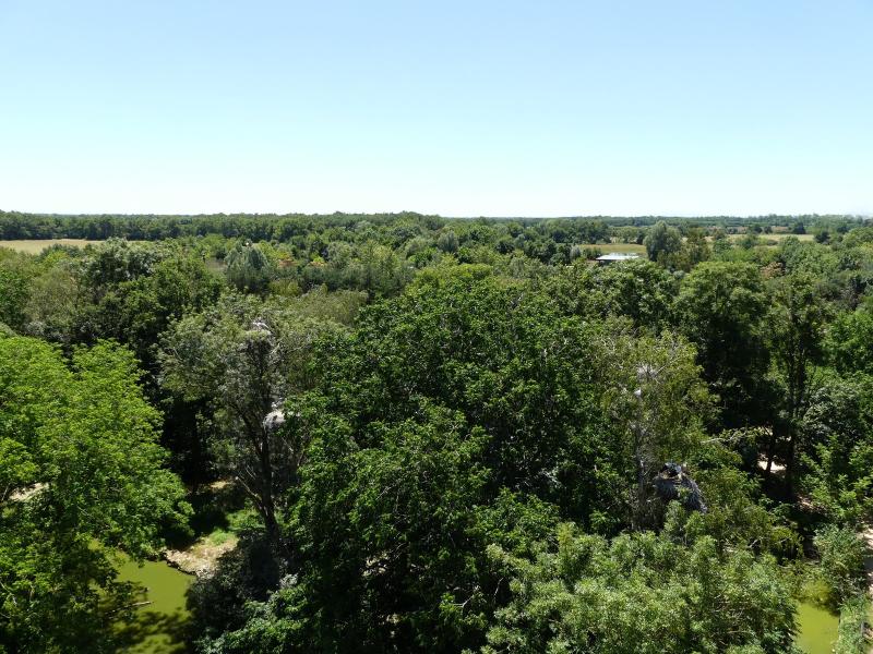 Vue depuis la tour panoramique