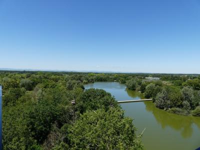 Vue sur le lac - 2020