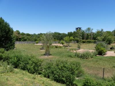 Busch australien - 2020