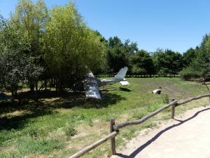 Busch australien