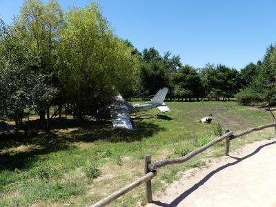 Busch australien - 2020