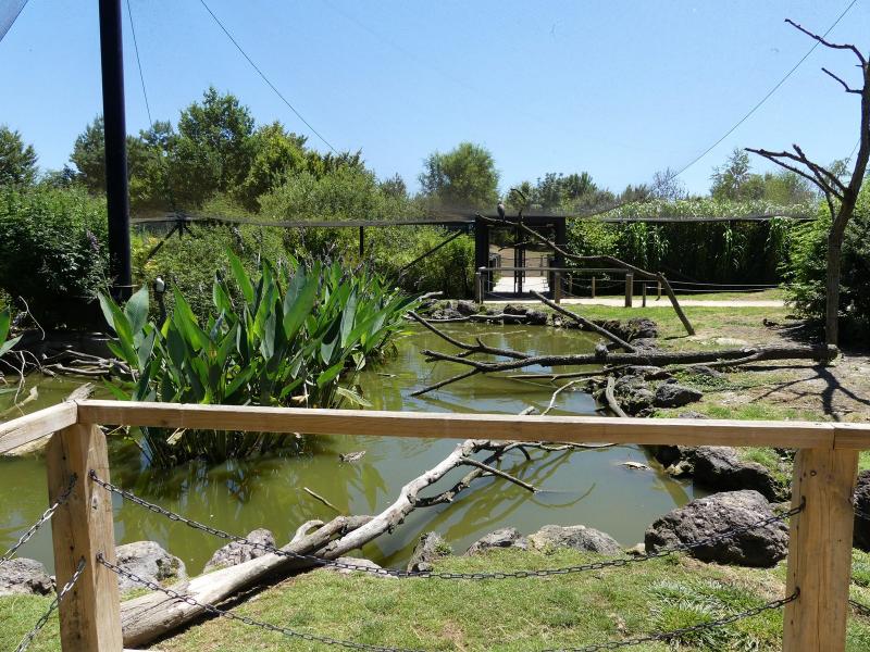 Volière australiene