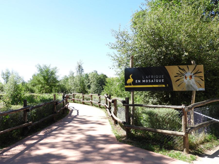 Vallée du Rift