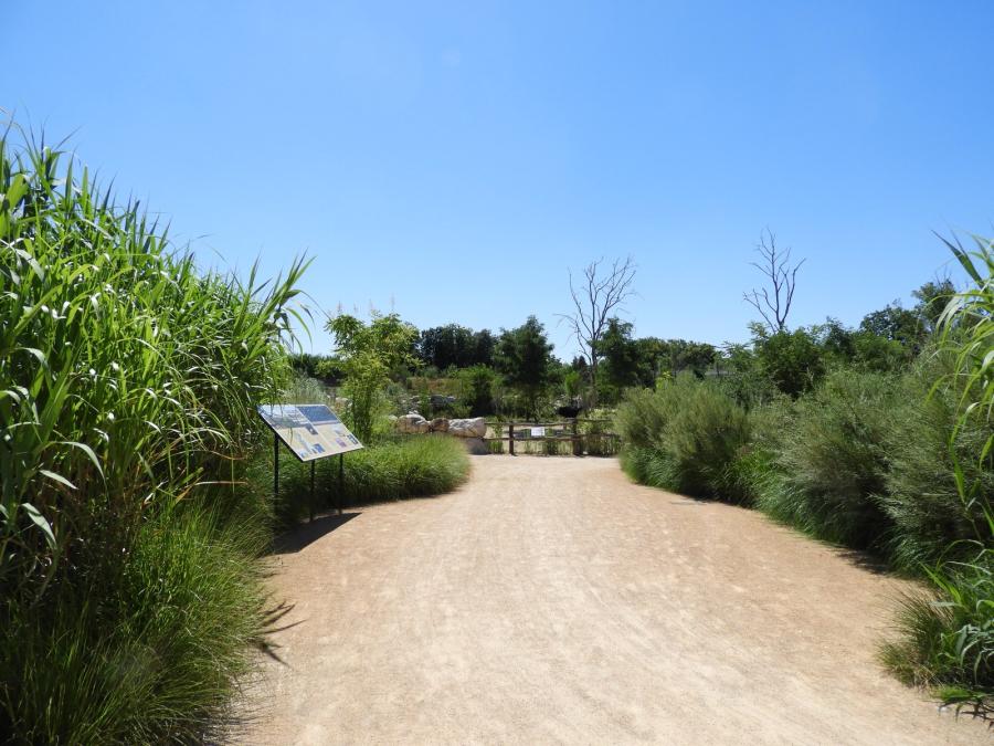 Vallée du Rift