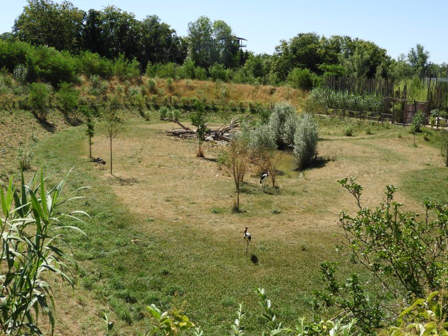 Vallée du Rift