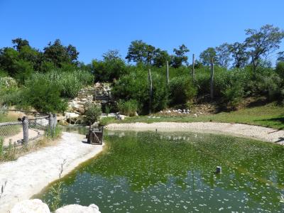 Vallée du Rift - 2020