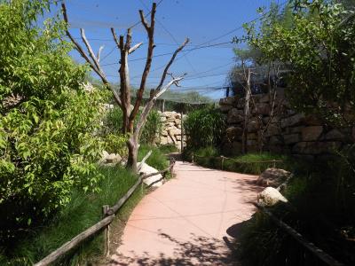 Volière malgache - 2020