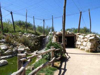 Volière africaine - 2020