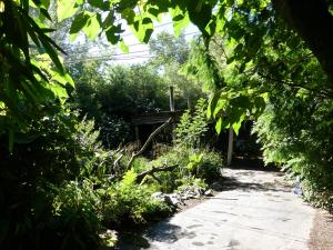 Jungle tropicale