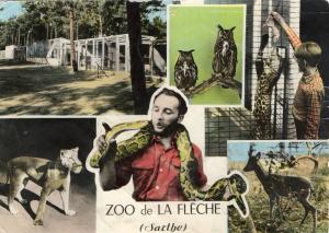 Zoo de La Flèche - 1964
