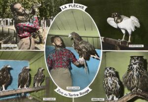 Zoo du Tertre Rouge - 1963