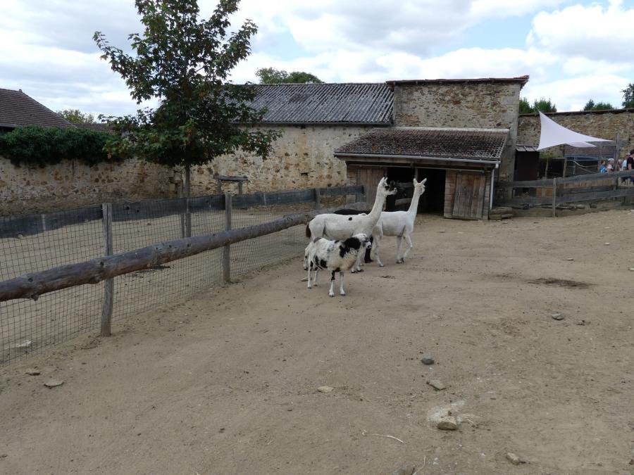 Petite ferme