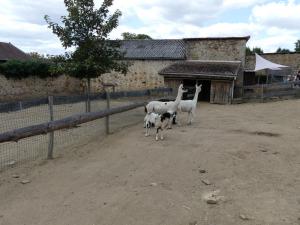 Petite ferme
