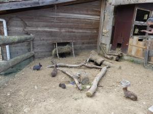 Petite ferme