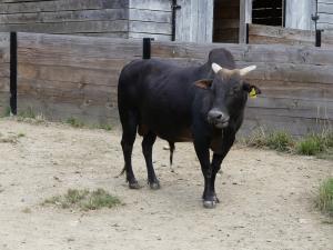 Petite ferme