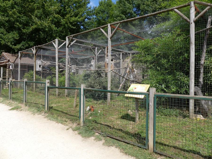 Ara militaire