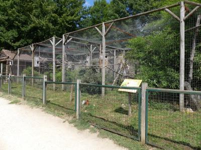 Ara militaire - 2019