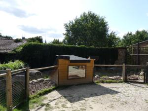 Tortue grecque