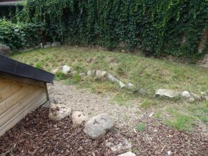Tortue grecque