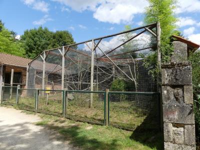 Saki à face blanche - Tamarin empereur - 2019