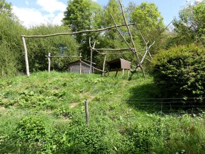 Vari noir et blanc - 2019