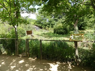 Vari noir et blanc - 2019