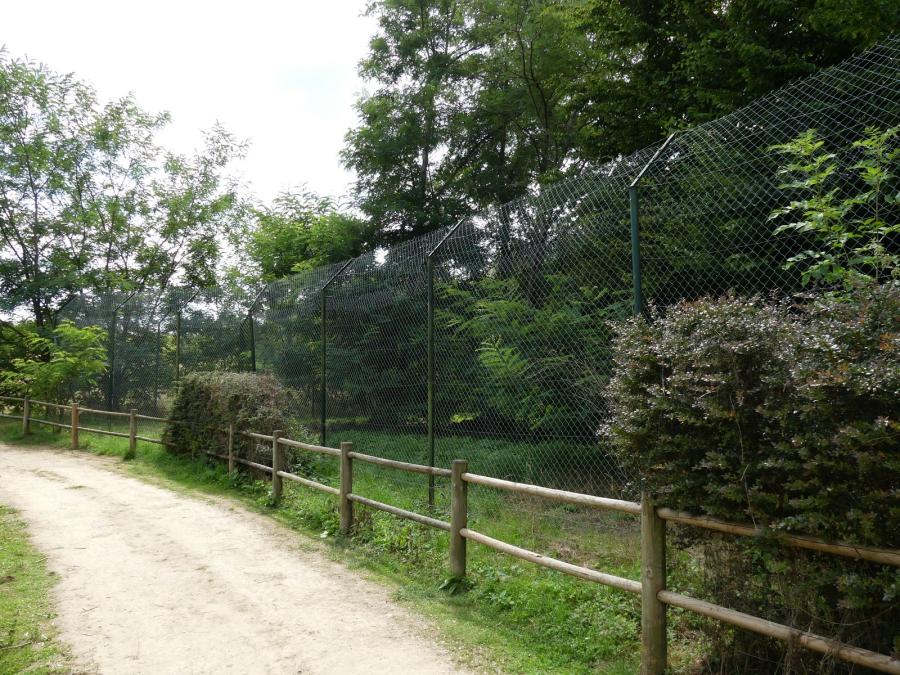 Panthère