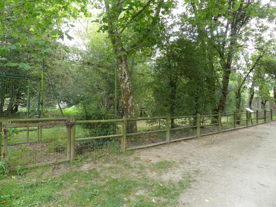 Panthère