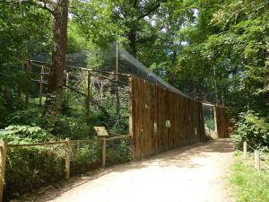 Hibou Grand-duc