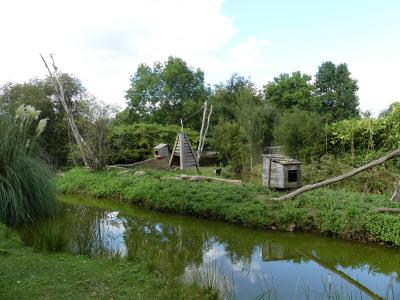 Macaque de Tonkéan - 2019