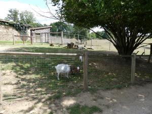 Petite ferme