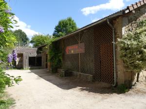 Roussette d'Egypte