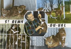 Le Zoo de Saint-Remy-du-Val