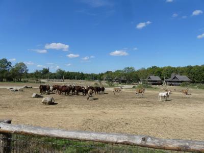 Piste Afrique - 2023