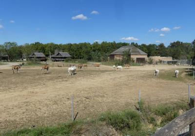 Piste Afrique - 2023