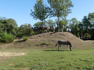 Piste Afrique - 2023